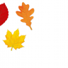 Баннер - комплект Осенние листья, 10 шт