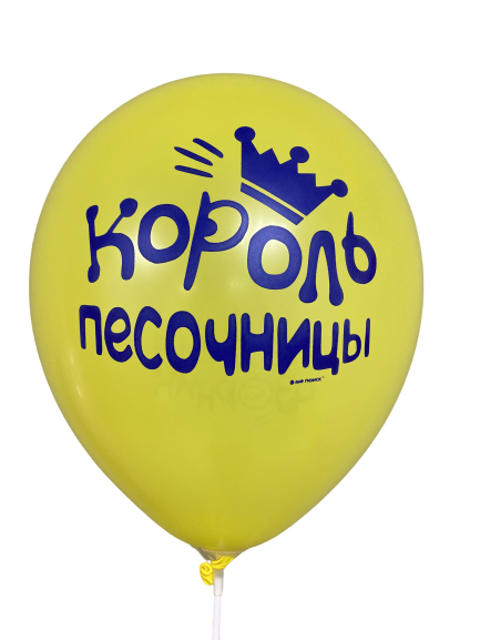Шары с приколами Король песочницы/Самый главный озорник, воздушные в гелием, 30 см