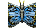 Бабочка монарх синяя, фольгированный шар с гелием, фигура 97 см