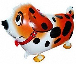 Собака далматин оранжевый, ходячий шар, фигура
