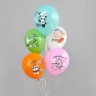 С Днем Рождения! Мечтай, отмечай, радуйся! воздушные шары с гелием, латексные, 35 см №82